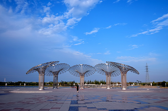 大慶油田監控項目防雷配套